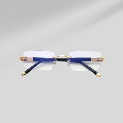 ClearVision